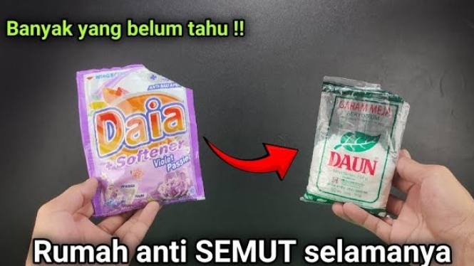 Trik Praktis Mengusir Semut