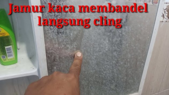 Tips Membersihkan Kaca
