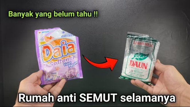ramuan pengusir semut