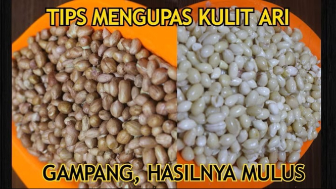 mengupas kacang
