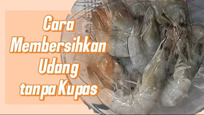 mengupas udang