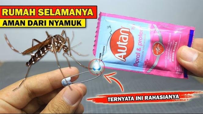 pengusir nyamuk