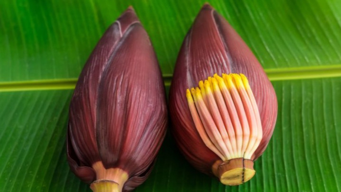 Jantung Pisang