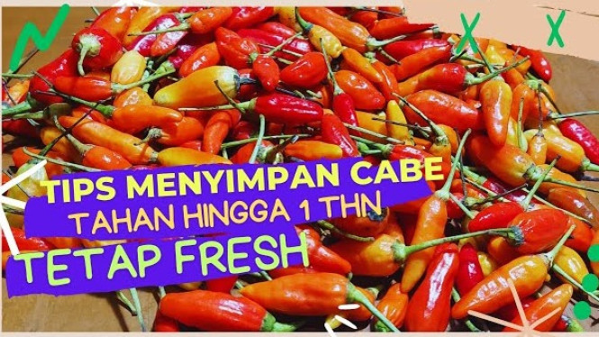 Tips Menyimpan Cabai