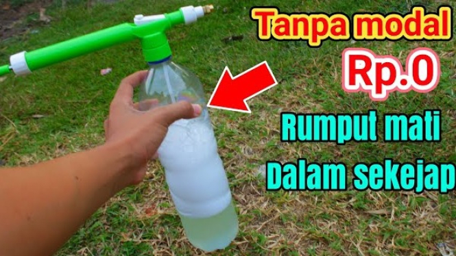 Cara Mudah Membuat Pestisida Alami