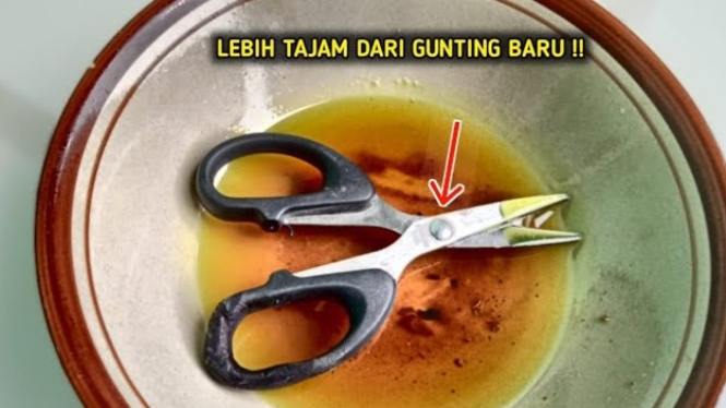 Tips Mengasah Gunting