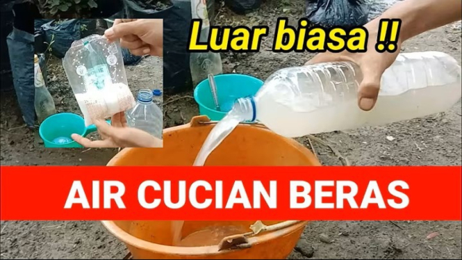 Air cucian beras