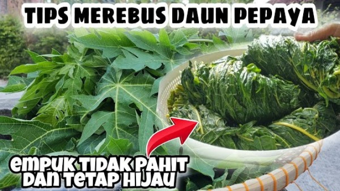 Tips Memasak Daun Pepaya