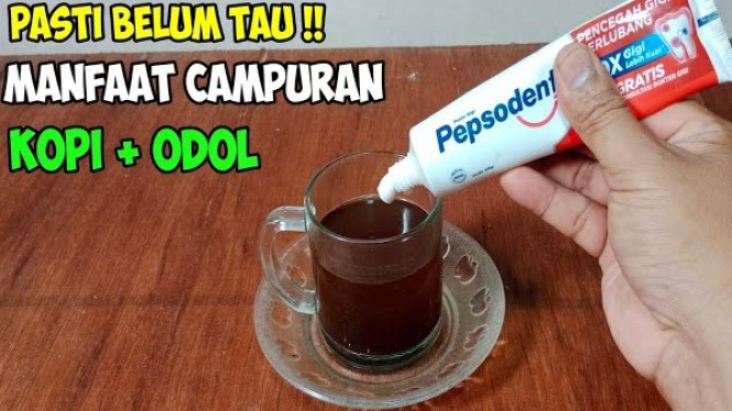 Campuran Kopi dan Pasta Gigi Mengusir Tikus