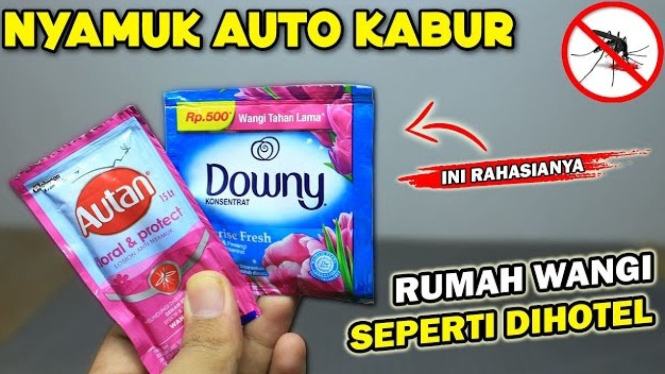 Modal Cuma Rp1000, Rumah Wangi Sekaligus Bebas Nyamuk