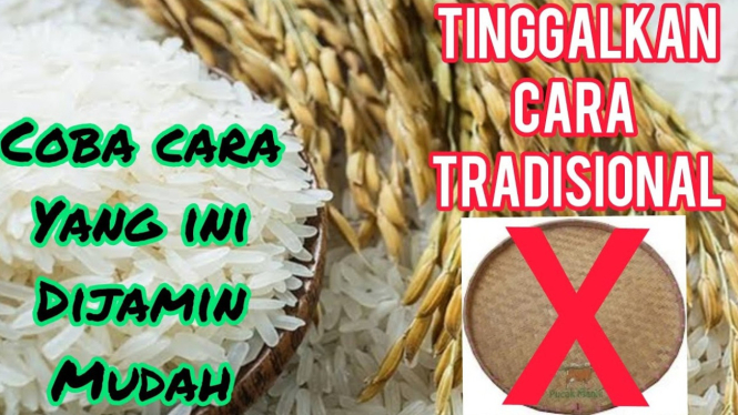 Cara Membersihkan Beras
