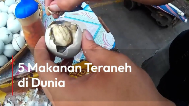Makanan teraneh di dunia