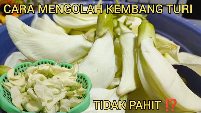 Bunga Turi
