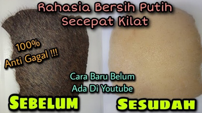 Cara Membersihkan Bulu