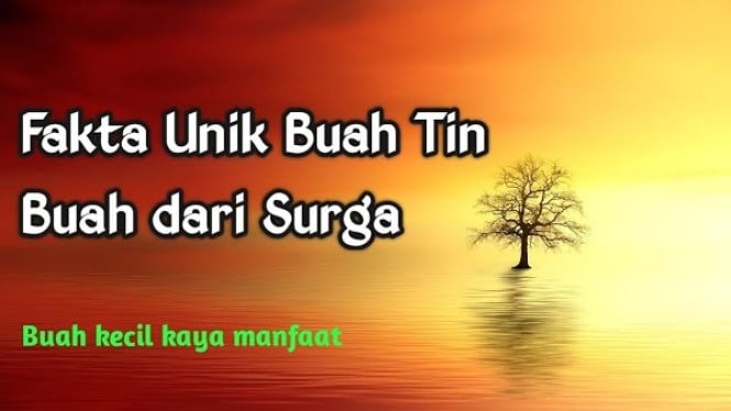 Rahasia Menakjubkan Buah Tin