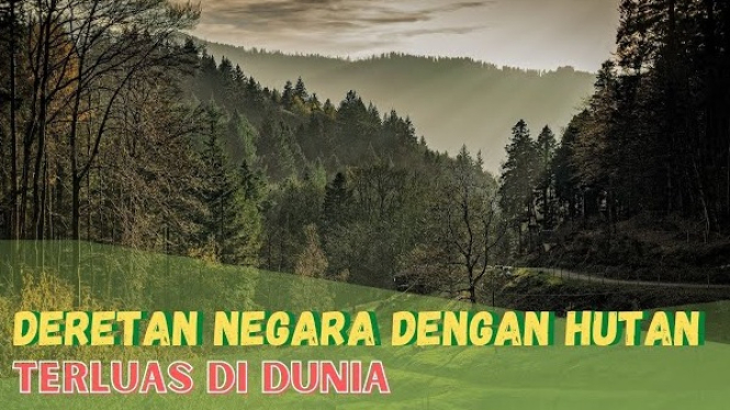 10 Negara dengan Hutan Terluas di Dunia