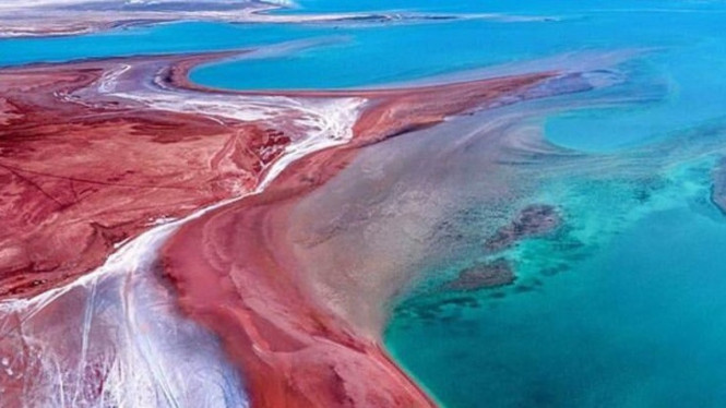 Fakta Unik Laut Merah