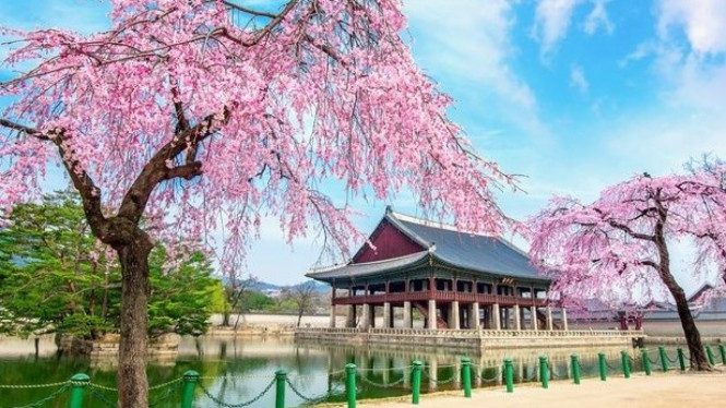 Tips Liburan Korea