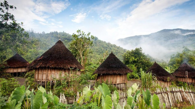 Fakta Menarik Papua