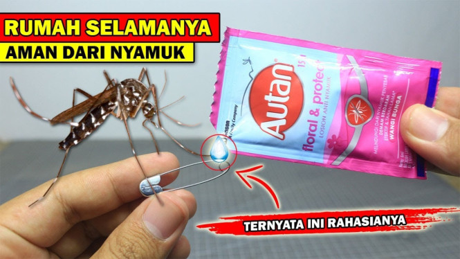 Tips hemat mengusir nyamuk