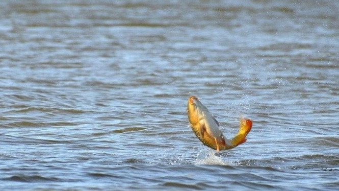 Fenomena Alam