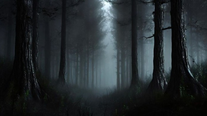 Hutan Angker