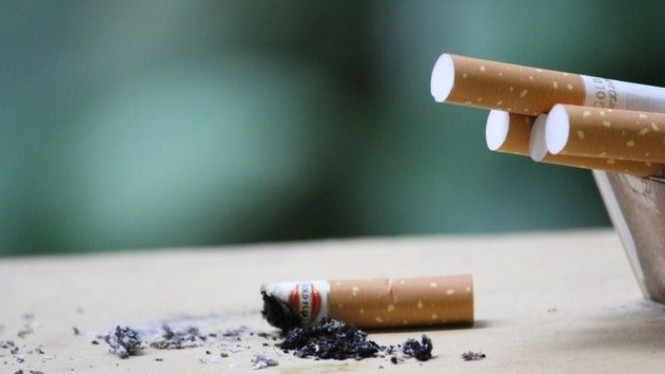 Fakta Rokok