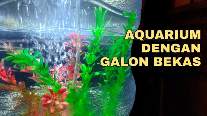Membuat akuarium dari galon bekas