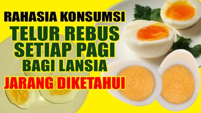 manfaat makan telur rebus bagi lansia