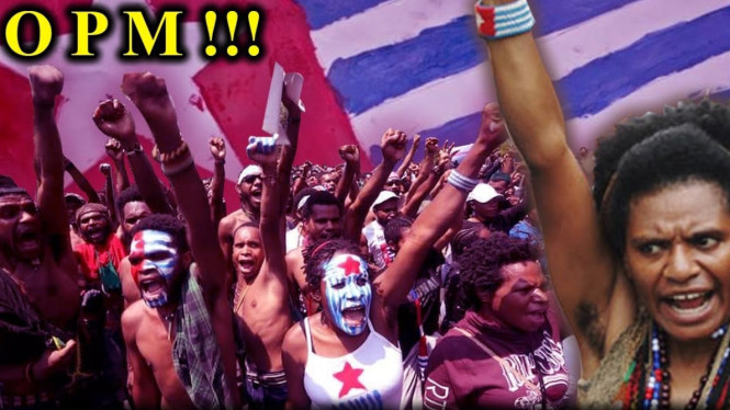 Organisasi Papua Merdeka