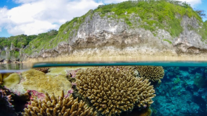 Niue