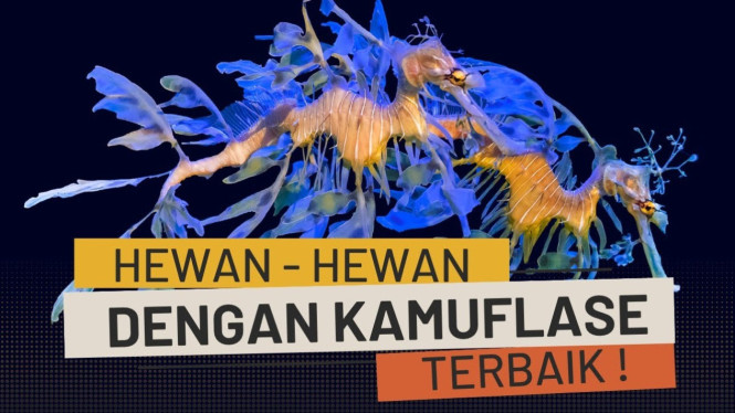 Hewan dengan Kamuflase Terbaik