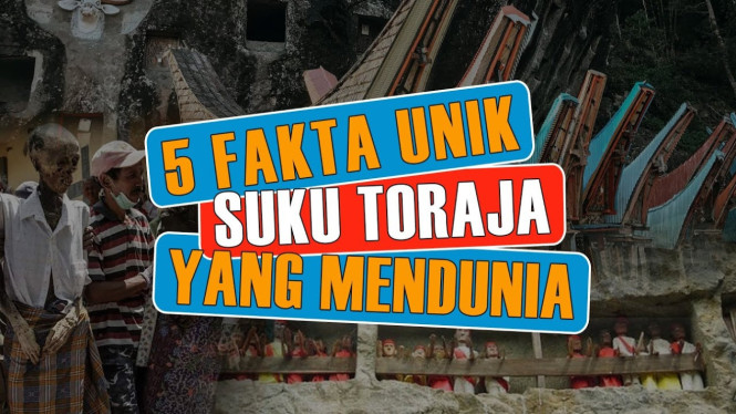 Fakta unik suku Toraja