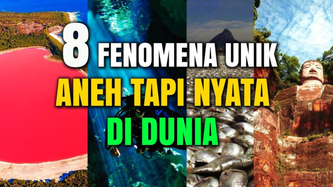 Dari Hujan Ikan Tahunan Hingga Kelelawar Mahkota Emas, Inilah Fenomena ...