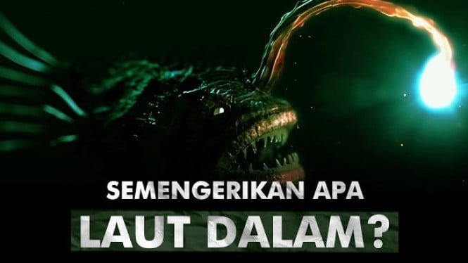 Fakta Unik Laut Dalam