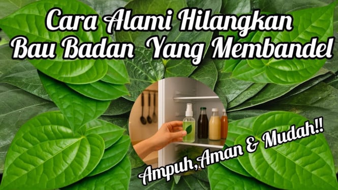 Mengatasi bau badan dengan daun sirih