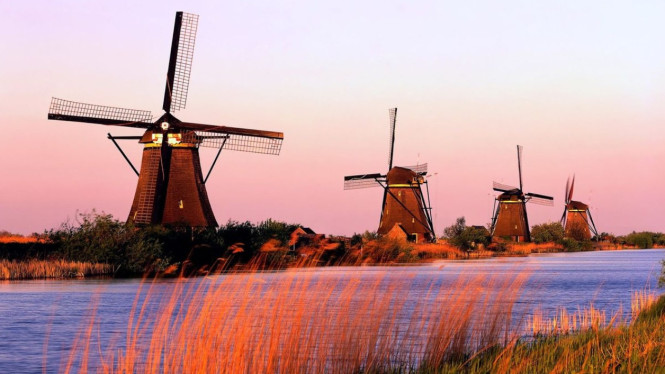 Kebijakan Unik
