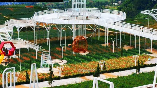 Shamala Skywalk View