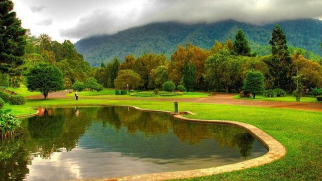 Kebun Raya Cibodas