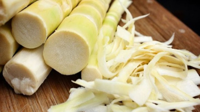 Manfaat Rebung