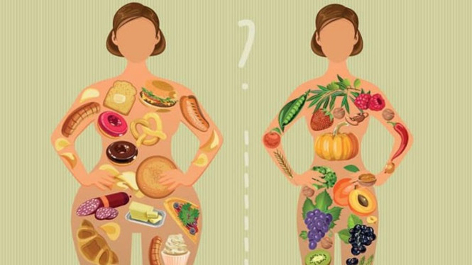 Ilustrasi Diet