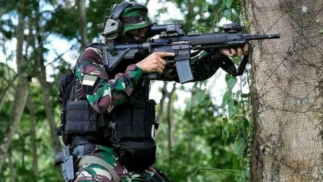 TNI Indonesia