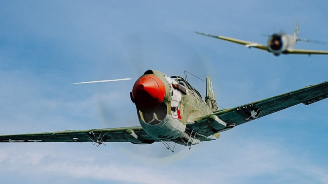 P-40