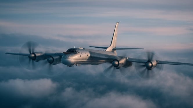 Pesawat Bomber Tu-95
