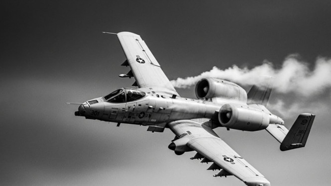 A-10 Thunderbolt II Warthog