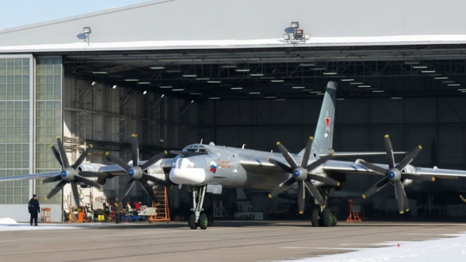 Tupolev Tu-95 Bear