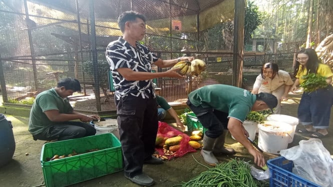 Persiapan pemberian pakan satwa di Kebun Binatang Bandung (foto:ist)