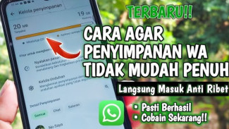 Penyimpanan WhatsApp Penuh Terus? Ikuti 5 Langkah Mudah Ini Biar HP Tidak Lemot Lagi