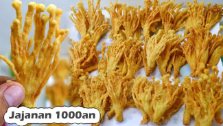 Bikin Jamur Enoki Crispy Seribuan yang Renyah Tahan Lama, Dijamin Laris Manis