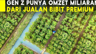 Pemuda 22 Tahun Raup Omzet Miliaran dari Bisnis Bibit Durian Berkualitas!